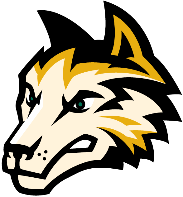 Wright State Raiders 2001-Pres Alternate Logo diy iron on heat transfer